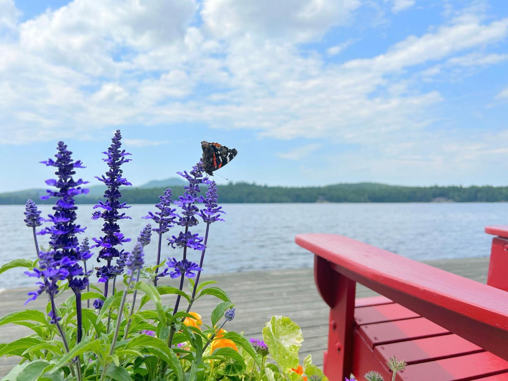 Paddler'S Rest Lakeside Cabins And Motel Long Lake Екстериор снимка
